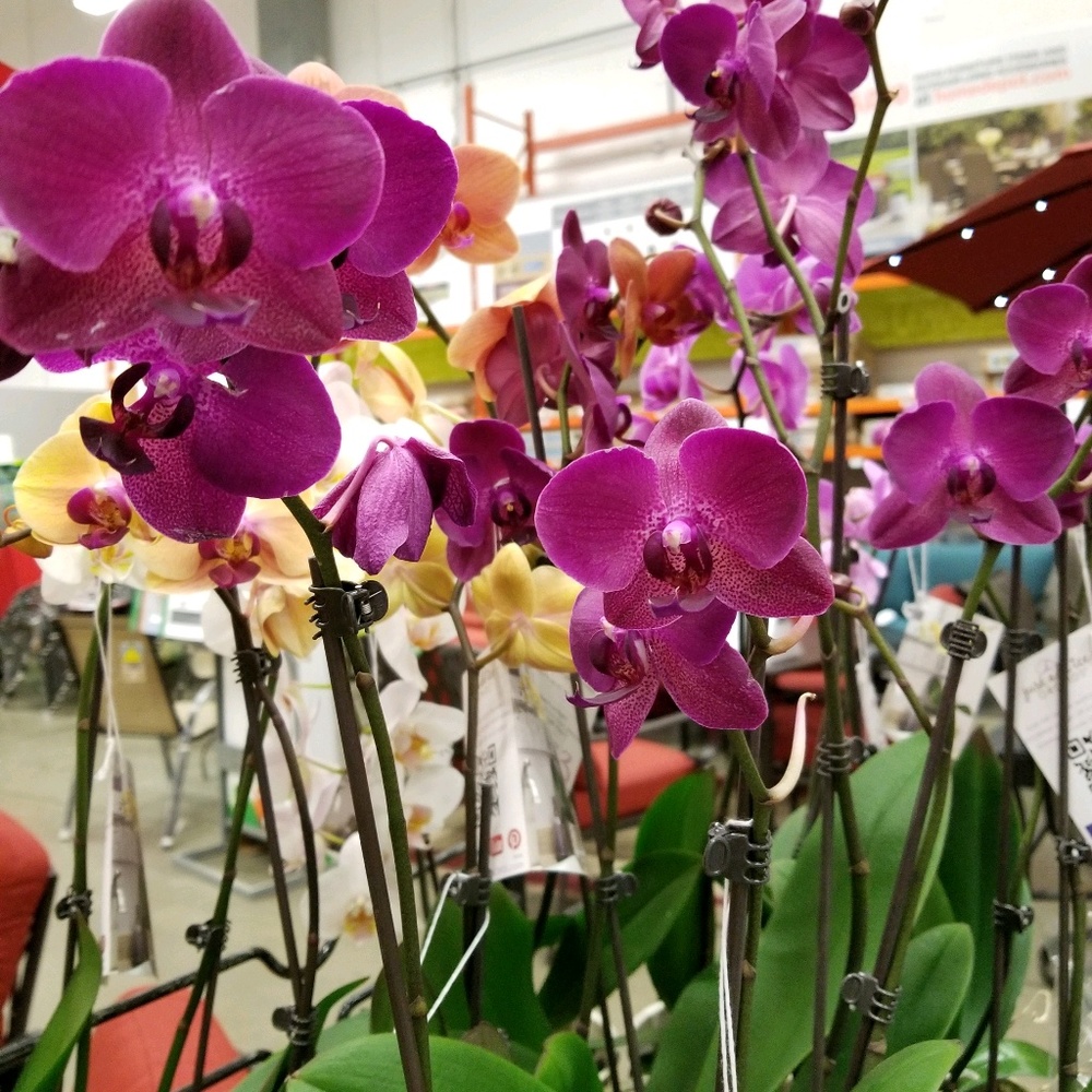 Meet your Posher, Rajeshri